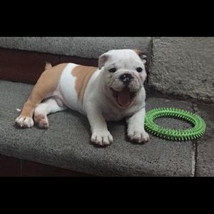 Meet your Posher, Daniel